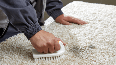 Professional Rug Cleaning Altona Meadows